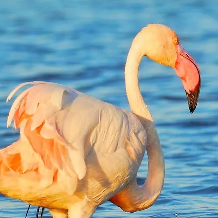 Ichnos Experience Privat bolig