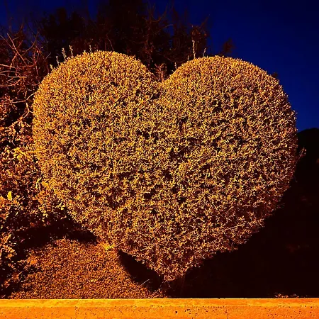 Ichnos Experience Villasimius