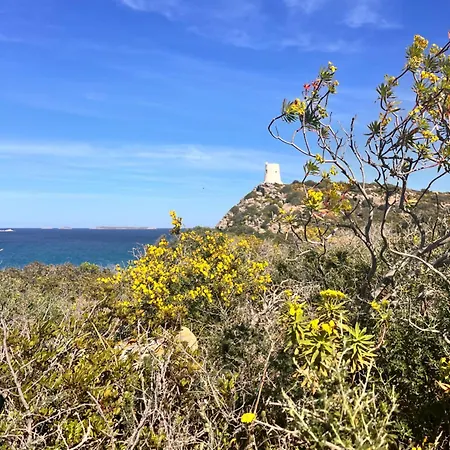 Homestay Ichnos Experience *