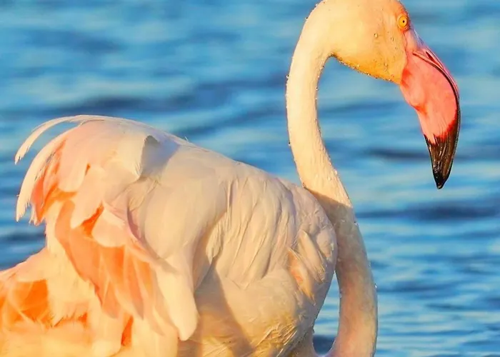 Ichnos Experience Homestay szállás