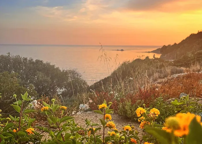 Ichnos Experience 빌라시미우스