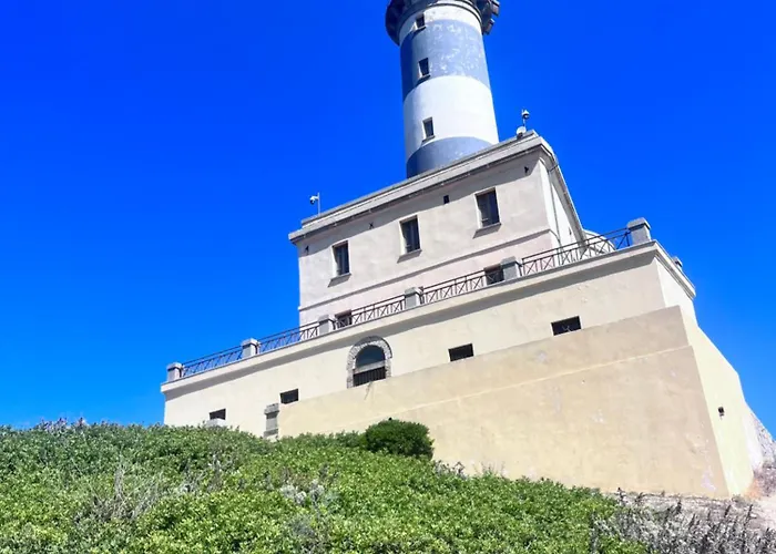 Ichnos Experience * 빌라시미우스